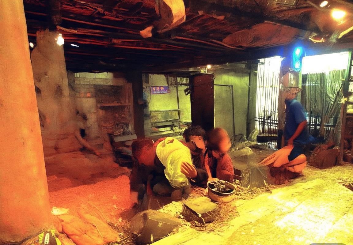 巴萨大巴黎巅峰对决：战术解析与精彩瞬间回顾